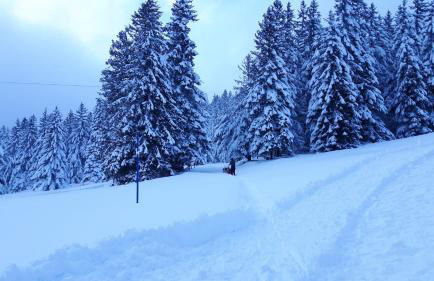 Appartement chaleureux à Soultzeren avec vue sur montagne - Foto 27