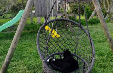 Casinha Nº461 - Foto 36