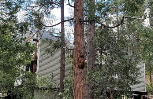 CASA de los ARBOLES! Delight & Solitude Abound! - Foto 19