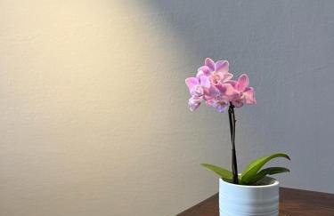 Luna Apartment - Foto 10