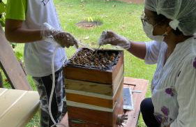 Vale das Rainhas - Photo 11