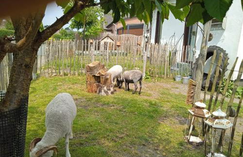 Ferienhaus mit Minibauernhof - Photo 37