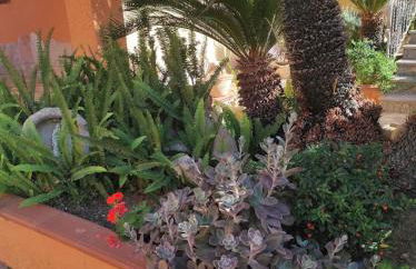 L'attico di Giorgio - Foto 25