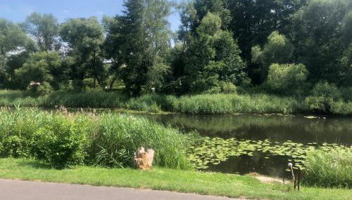 Haus am Finowkanal - Foto 4