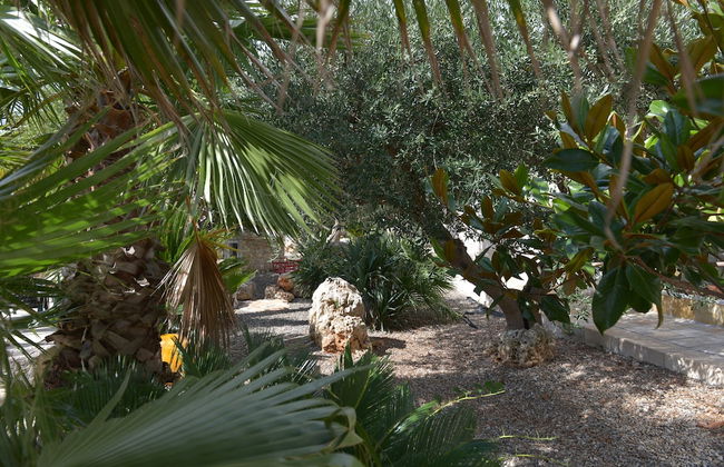 Masseria Pentima Vetrana Resort - Foto 31