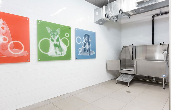 Global Luxury Suites San Mateo - Foto 38