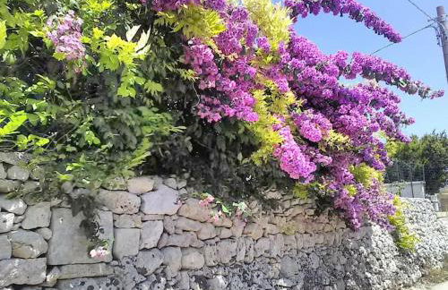 Il Gelso Bianco - Foto 28