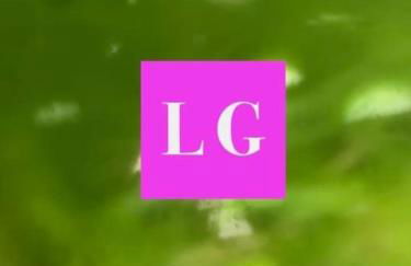 La Chartreuse et son Orangerie - Foto 26