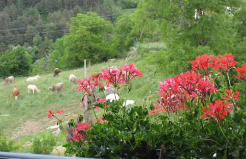 Casa Muro Ordesa - Photo 34