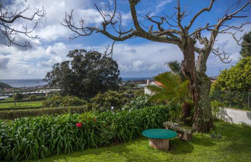 Quinta das Bolas - Photo 47