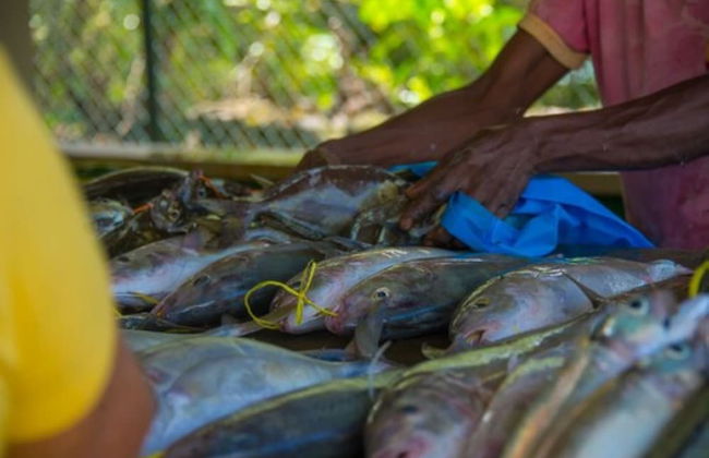 Le Nautique Luxury Beachfront Apartments - Photo 34