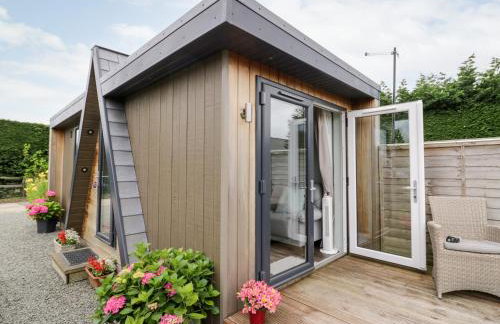 Hydrangea - Photo 16