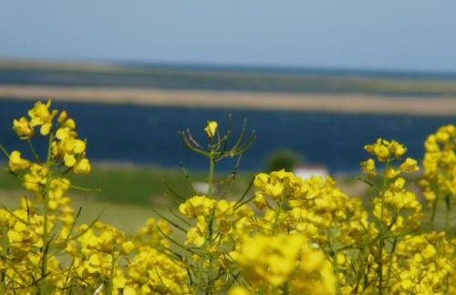 Ferienhaus am Radwanderweg - Foto 30