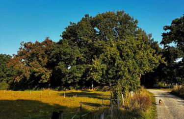 Fachwerkwohnung am Allerufer und Jakobsweg - Foto 21