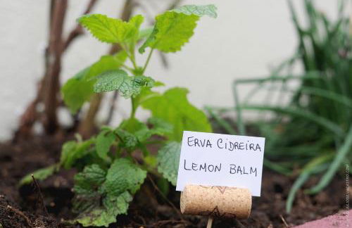 Apartamento Quinta do Faial - Foto 45