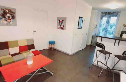 HOMEYPIC T3 en rez de jardin proche de Lyon - Foto 13