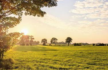Traumkrone Ferienwohnungen - Wiesengrün - Foto 38