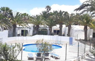 Palm Point - Photo 14