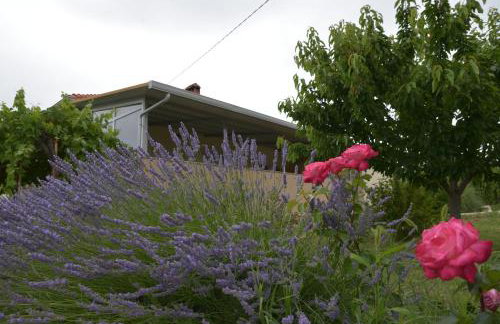 Apartment Tina - Foto 35