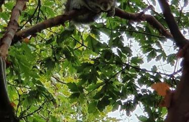 Modern, self-contained annexe in the countryside - Photo 7