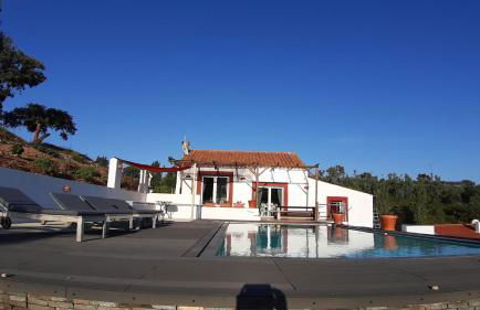 Gecko Pego Longo - Foto 1