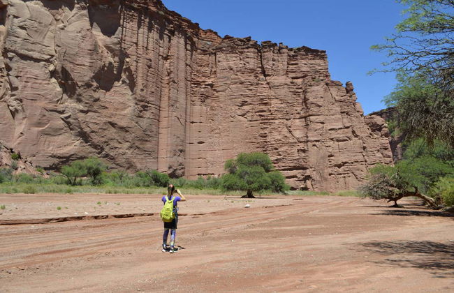 Talampaya Canyon or Don Eduardo Gorge Hiking Tour - Foto 6
