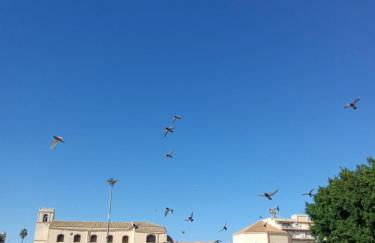 Il Cortile della Patrona - Photo 42