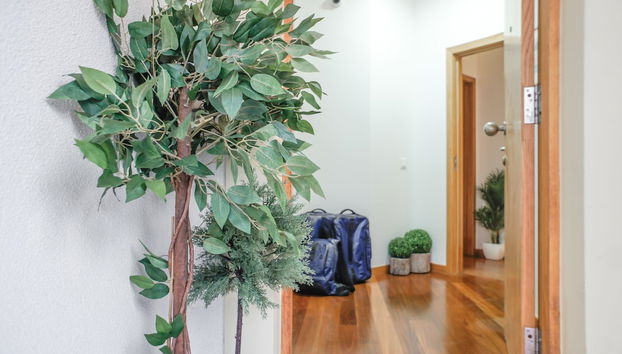 Trendy Apartments - Foto 2, Recepción