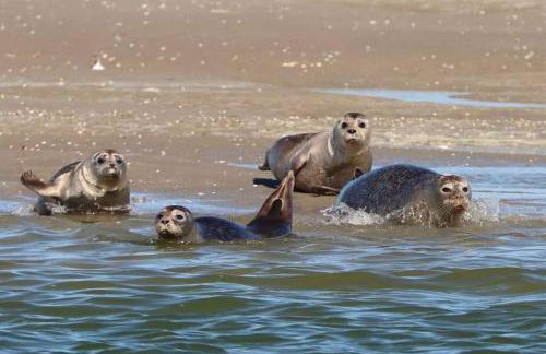 La Maison LUDO - Foto 33