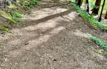 Apartment Joelle mit Sauna, Schwimmteich und Gym - Photo 75