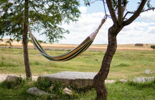 LA CASA DEL BUHO - Foto 24