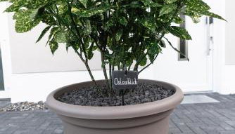 Ostseehaus am Naturstrand - Ostseeblick - Foto 2