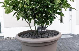 Ostseehaus am Naturstrand - Ostseeblick - Foto 2