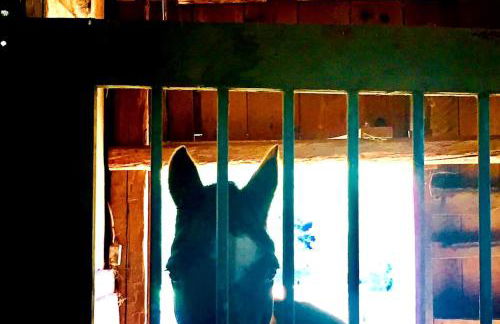 Secluded Farm Stay for a Perfect Oregon Glamping Experience - Foto 29