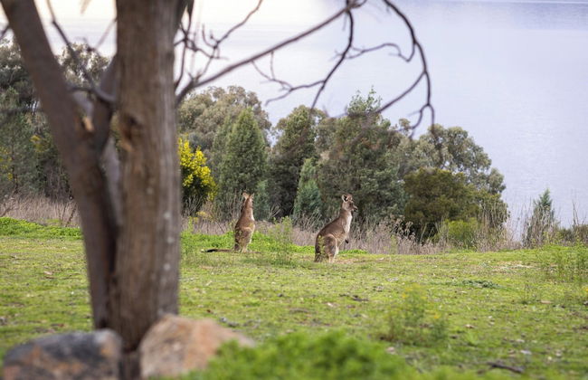 Reflections Lake Burrendong - Holiday Park - Foto 43