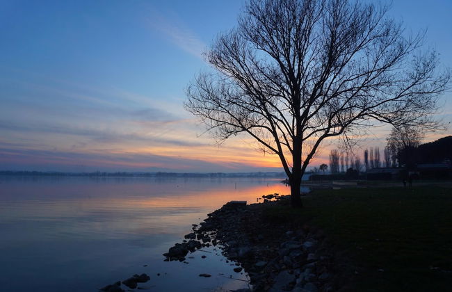 Myrtle apt With Shared Pool - Foto 38