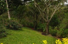 Sítio São Gerardo - Aconchegante casa no campo. - Foto 15