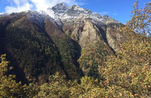 Les Bordes De Paloumières - Foto 73