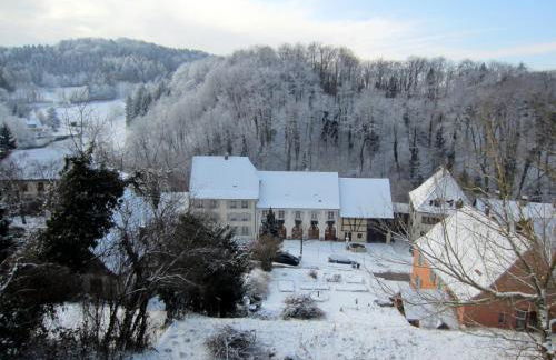 La Maison des Fontaines D'alsace - Foto 102