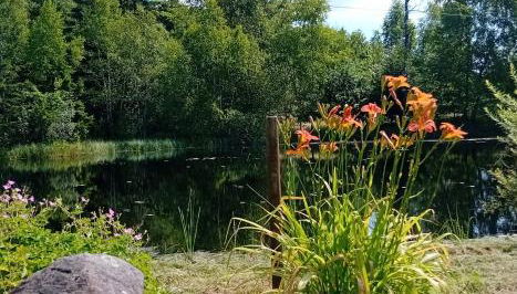 gîte des 1000 étangs - Foto 4, Garden