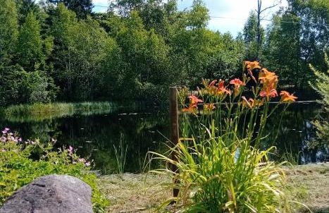 gîte des 1000 étangs - Foto 4