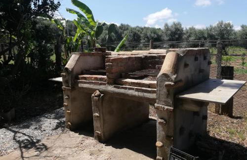 L' Agrumeto - Photo 17