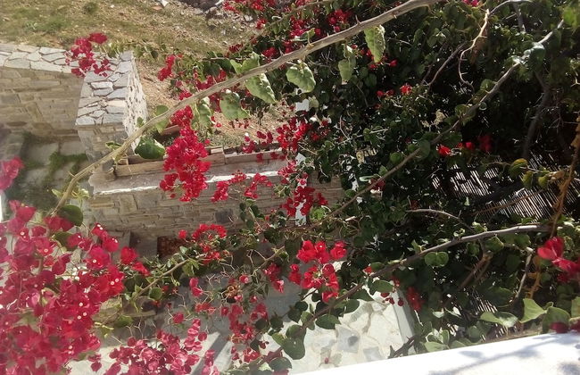 Kykladitiko Spiti - Foto 53