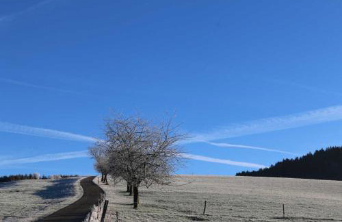 Schwoererhof - Photo 44