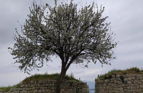 Comfortable residence with unique views - Foto 53