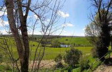 Domaine de Massoulac - Foto 45