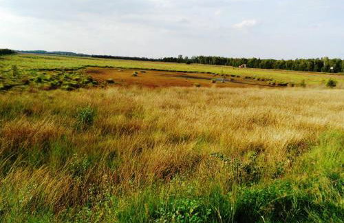 Ferienwohnung Uchte - Photo 42