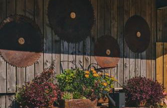 Whispering Leaves - Photo 18