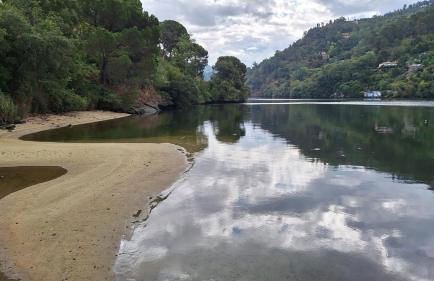 Quinta da Ribeirinha - Douro River - Foto 42