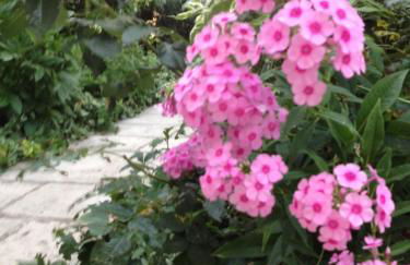 La petite Maison dans la Croix Rousse - Foto 33